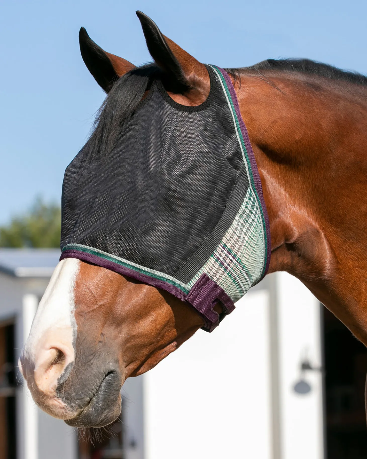 Kensington™ UViator CatchMask® with Web Trim