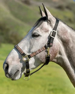 Kensington™ Premium Halter