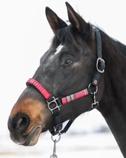 Kensington™ Premium Halter