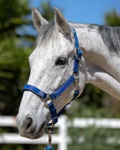 Kensington™ Premium Halter