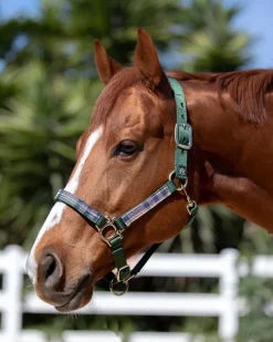 Kensington™ Premium Halter