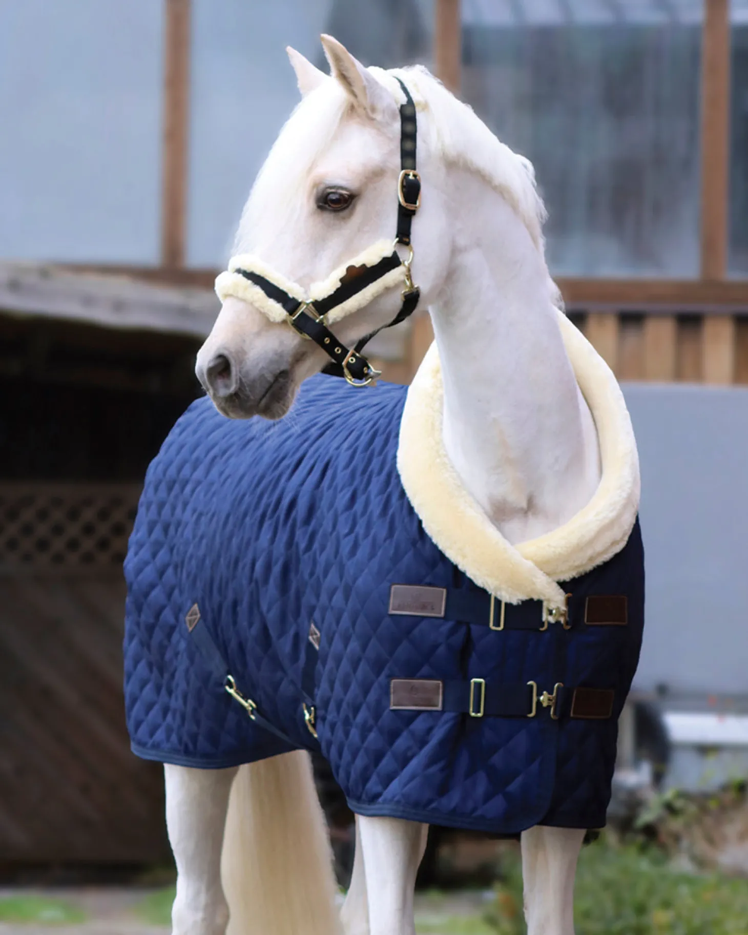 Kentucky Horsewear Show Rug