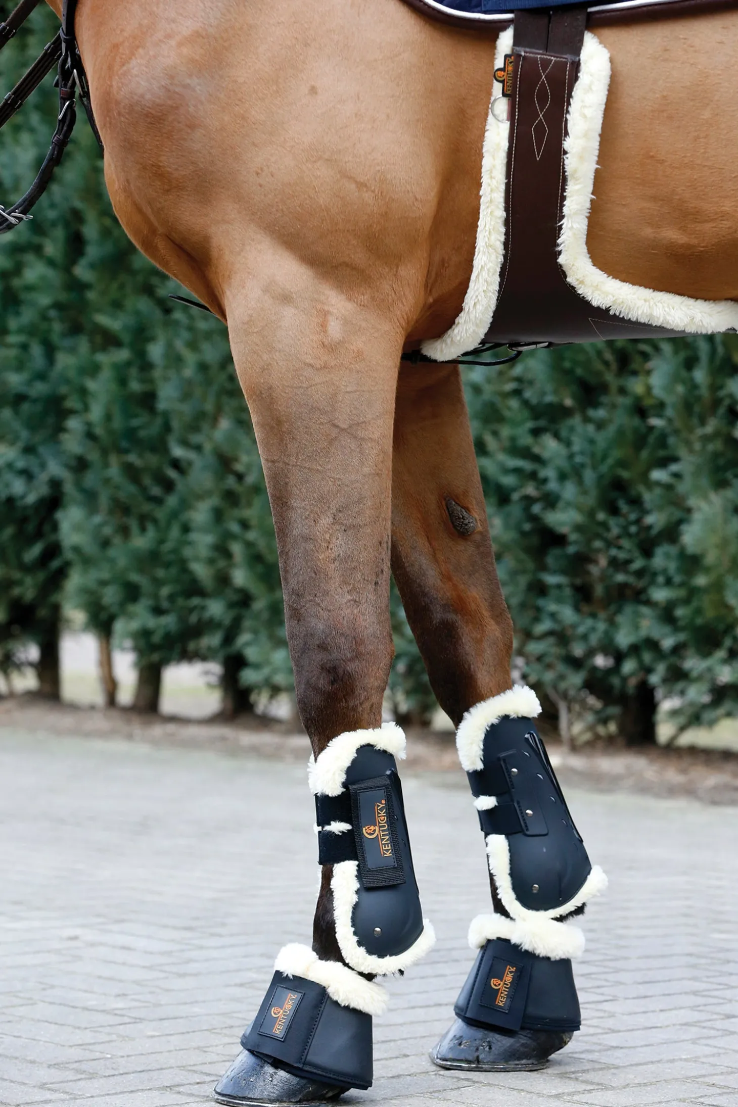 Kentucky Horsewear Vegan Sheepskin Stud Girth