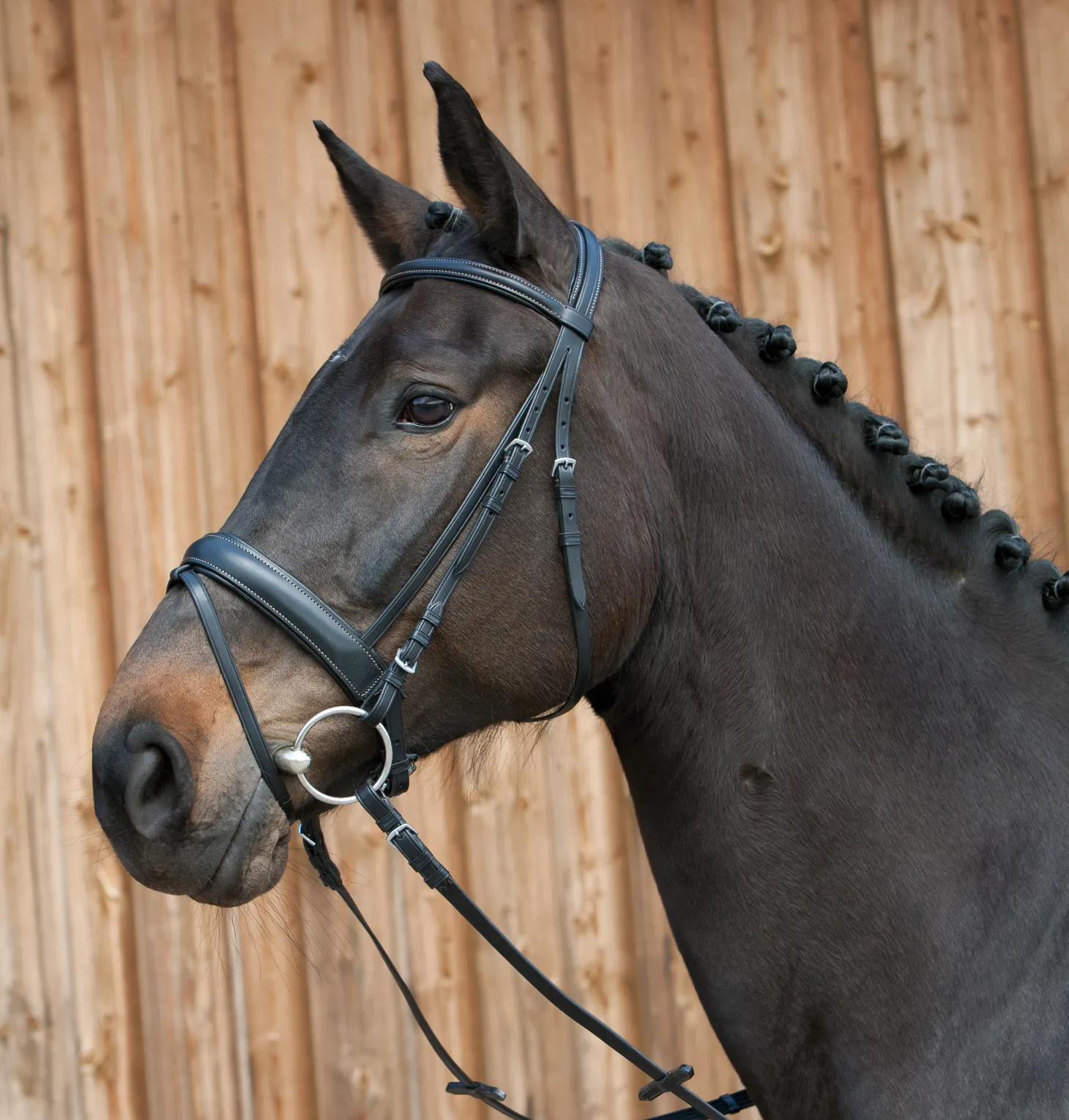 Kieffer Ergonomic III Snaffle Bridle