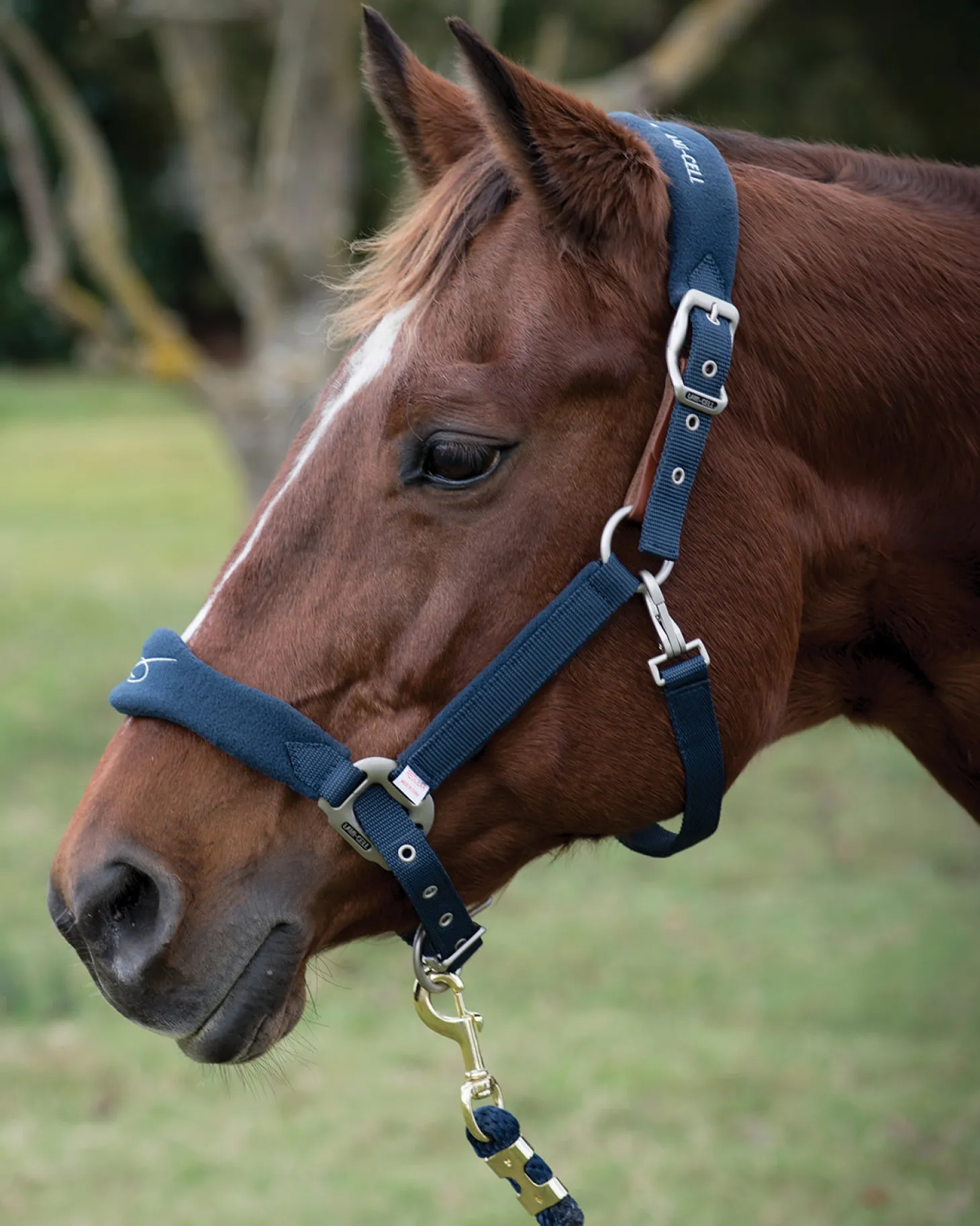 Lami-Cell Fleece-Lined Halter