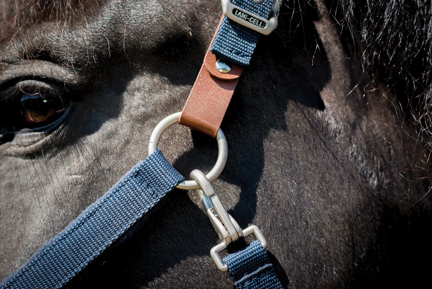 Lami-Cell Fleece-Lined Halter