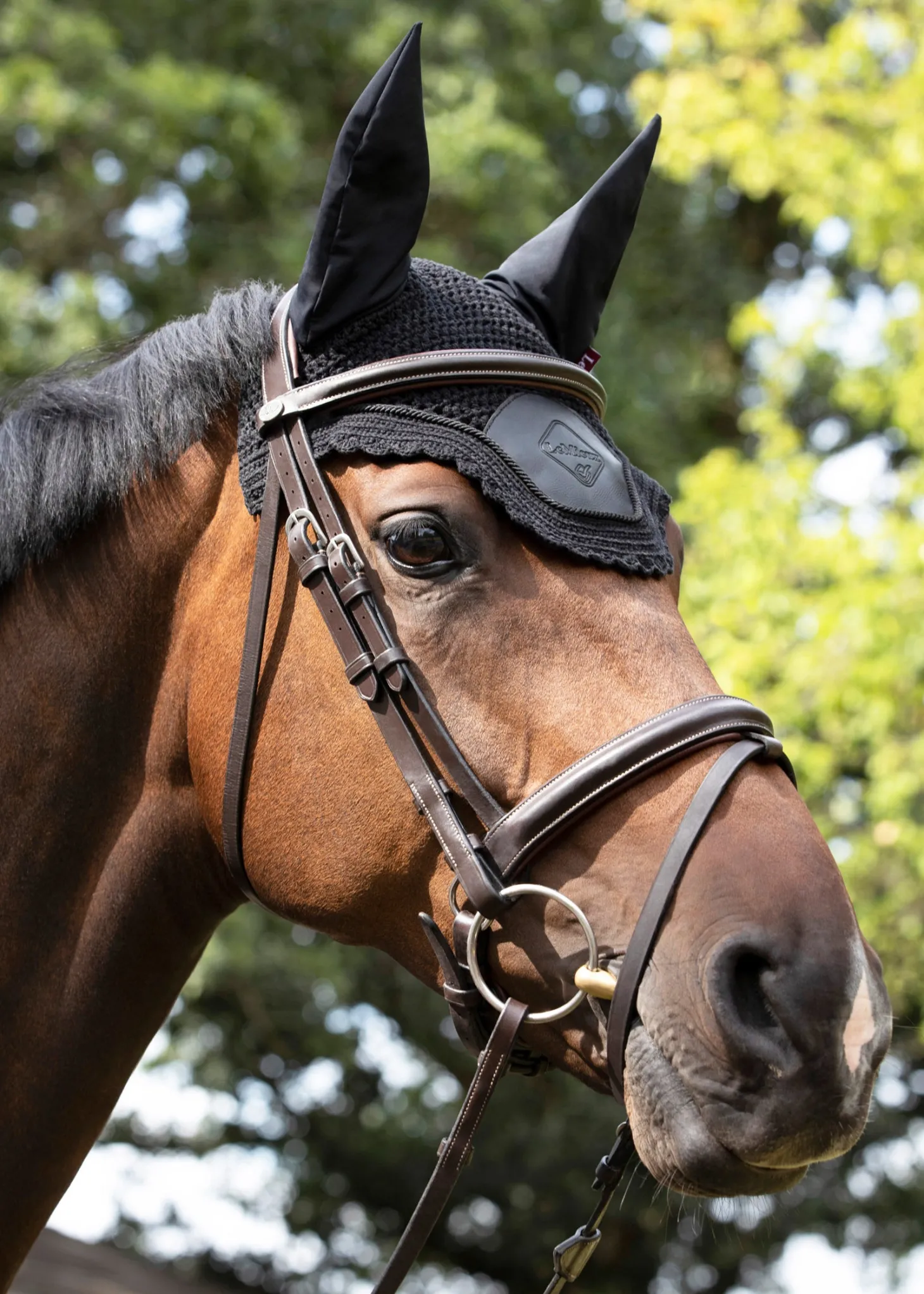 LeMieux® Acoustic Pro Fly Hood