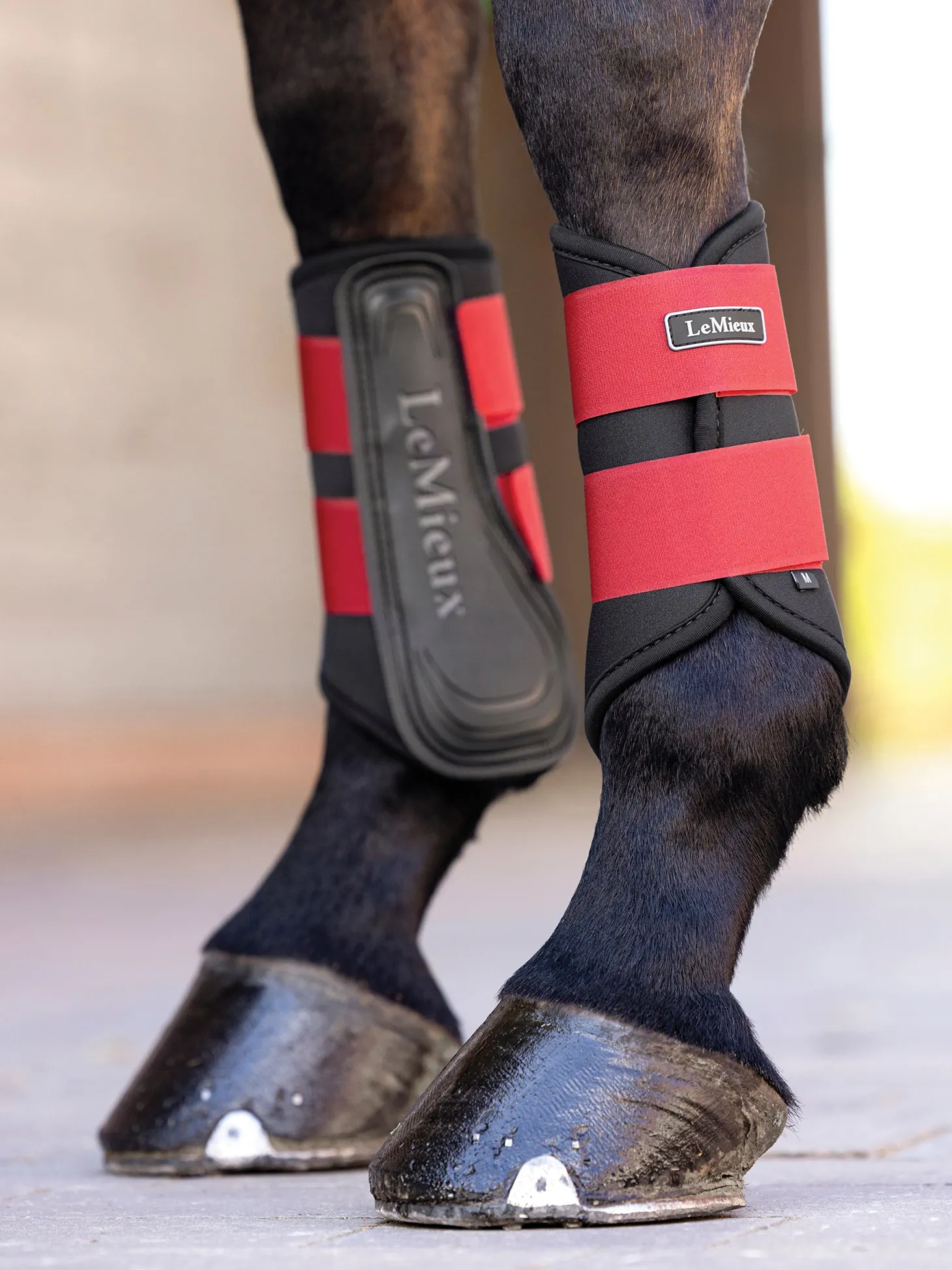 Lemieux® Grafter Brushing Boots