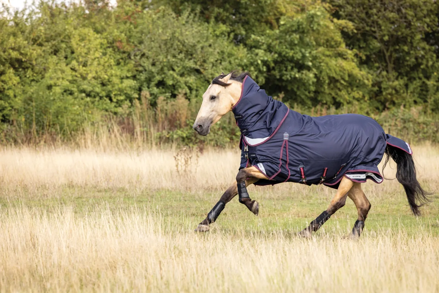 LeMieux® Kudos 100 Gram Turnout Blanket