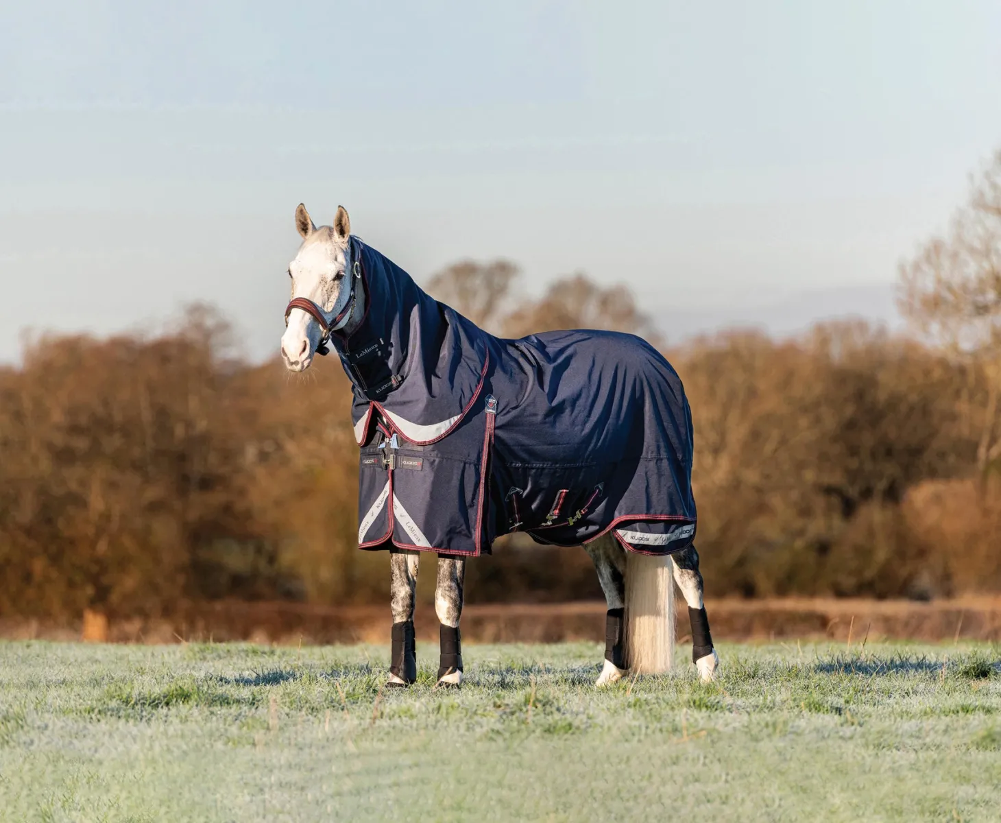 LeMieux® Kudos 200 Gram Turnout Blanket