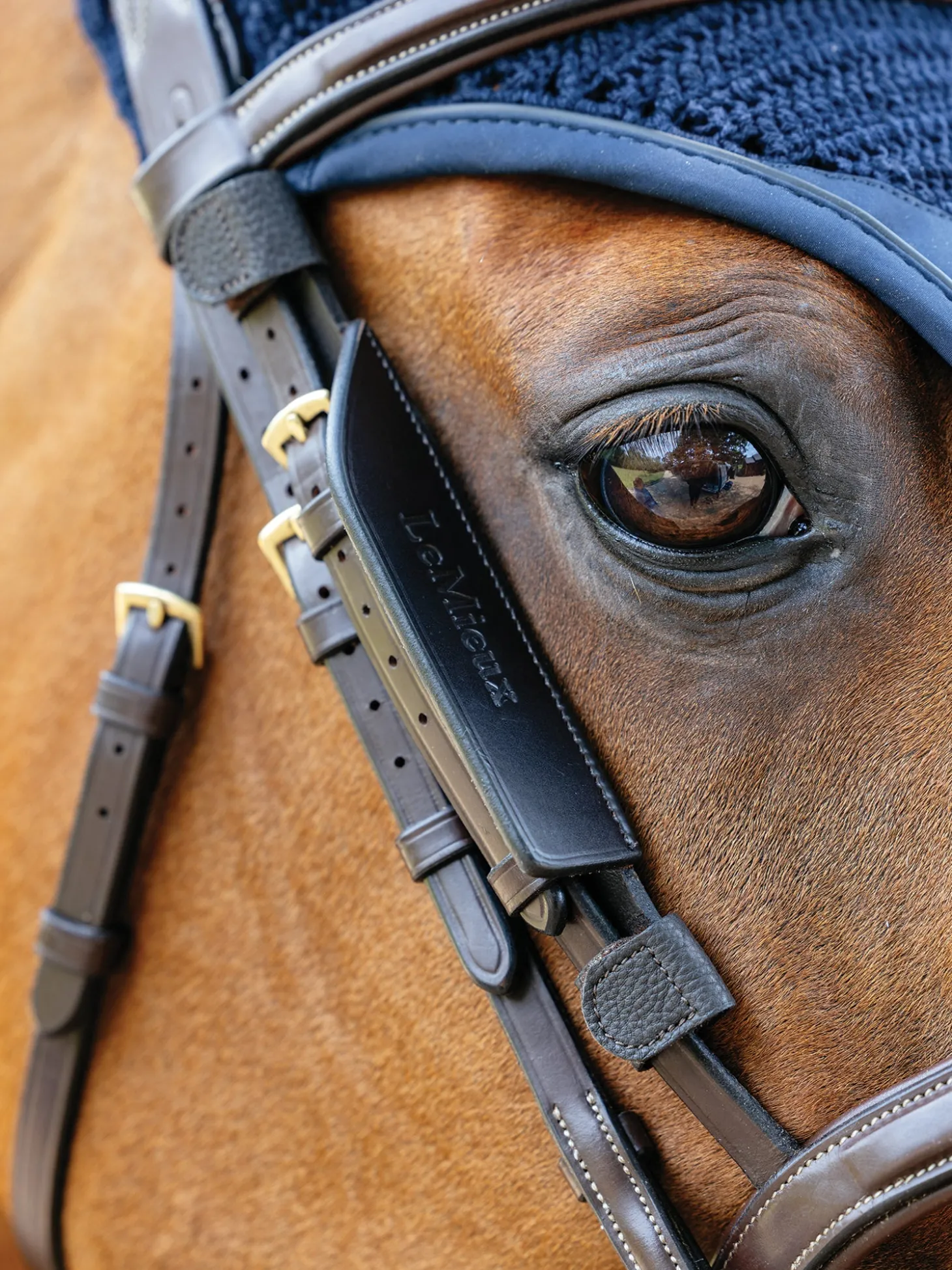 LeMieux® Leather Bridle Blinkers