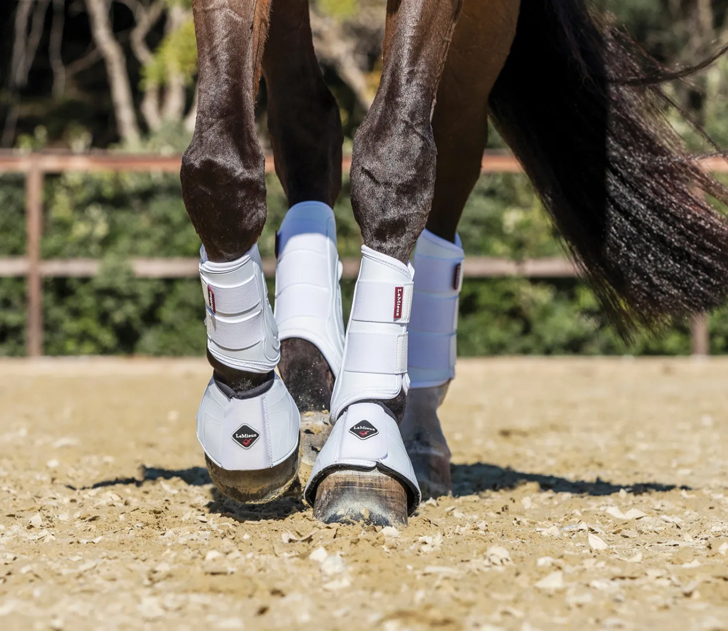LeMieux® ProShell Overreach Boots