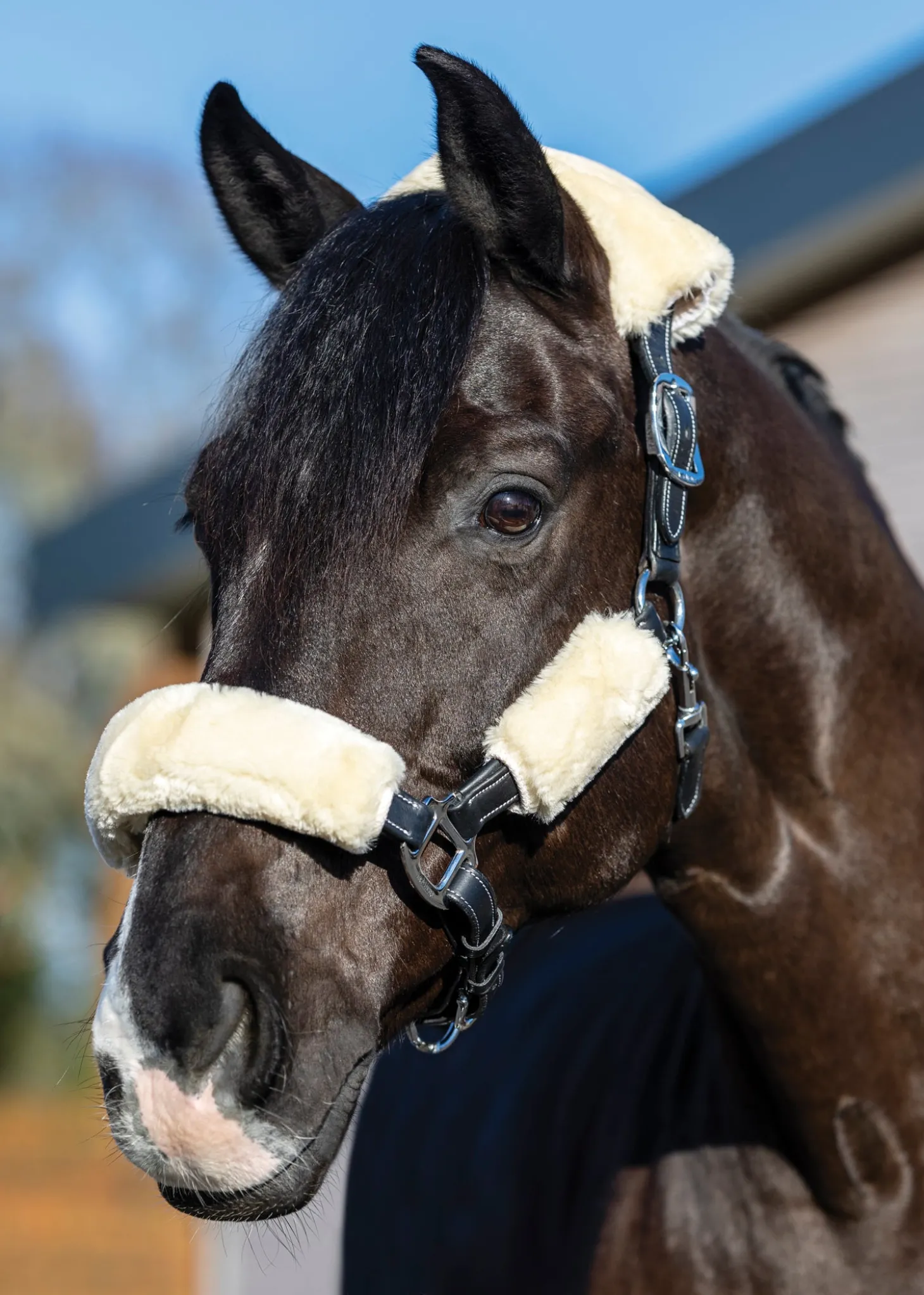 LeMieux® Simuwool 4-Piece Halter Set
