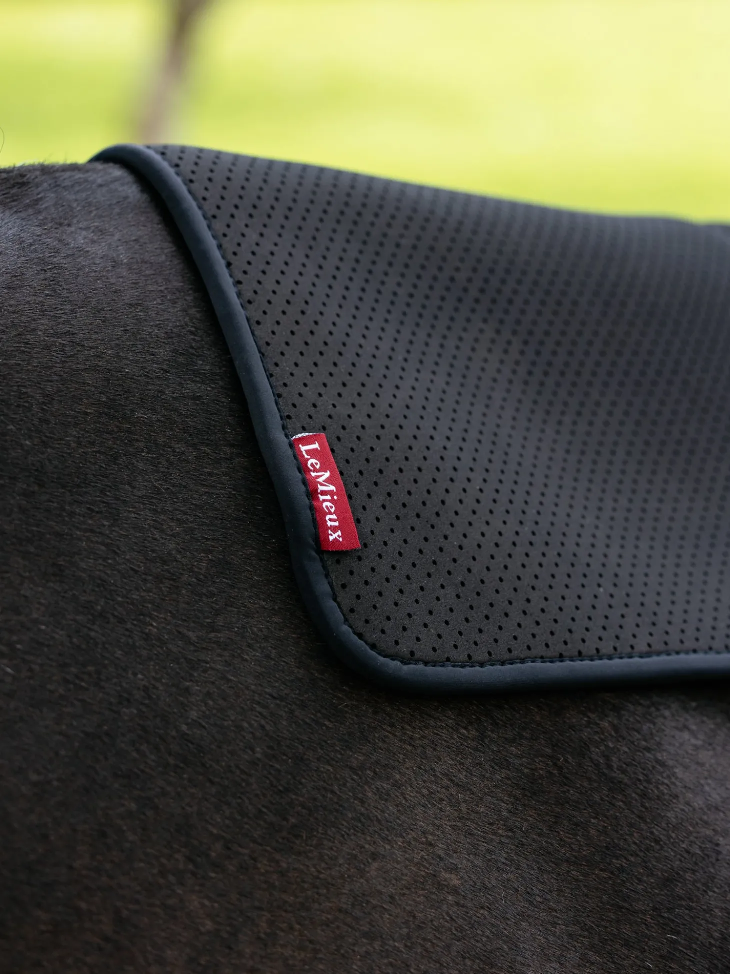 LeMieux® Square Non-Slip Half Pad
