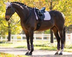 LeMieux® Suede Dressage Saddle Pad