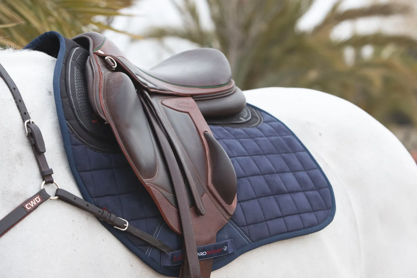 LeMieux® X-Grip EuroJump Square Pad