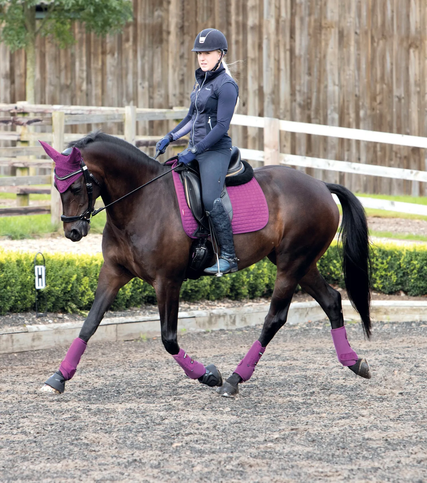 LeMieux® Suede Dressage Square Pad