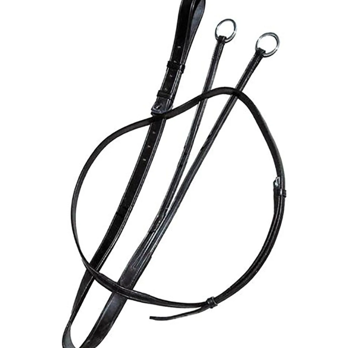 Leslie Webb Training Martingale