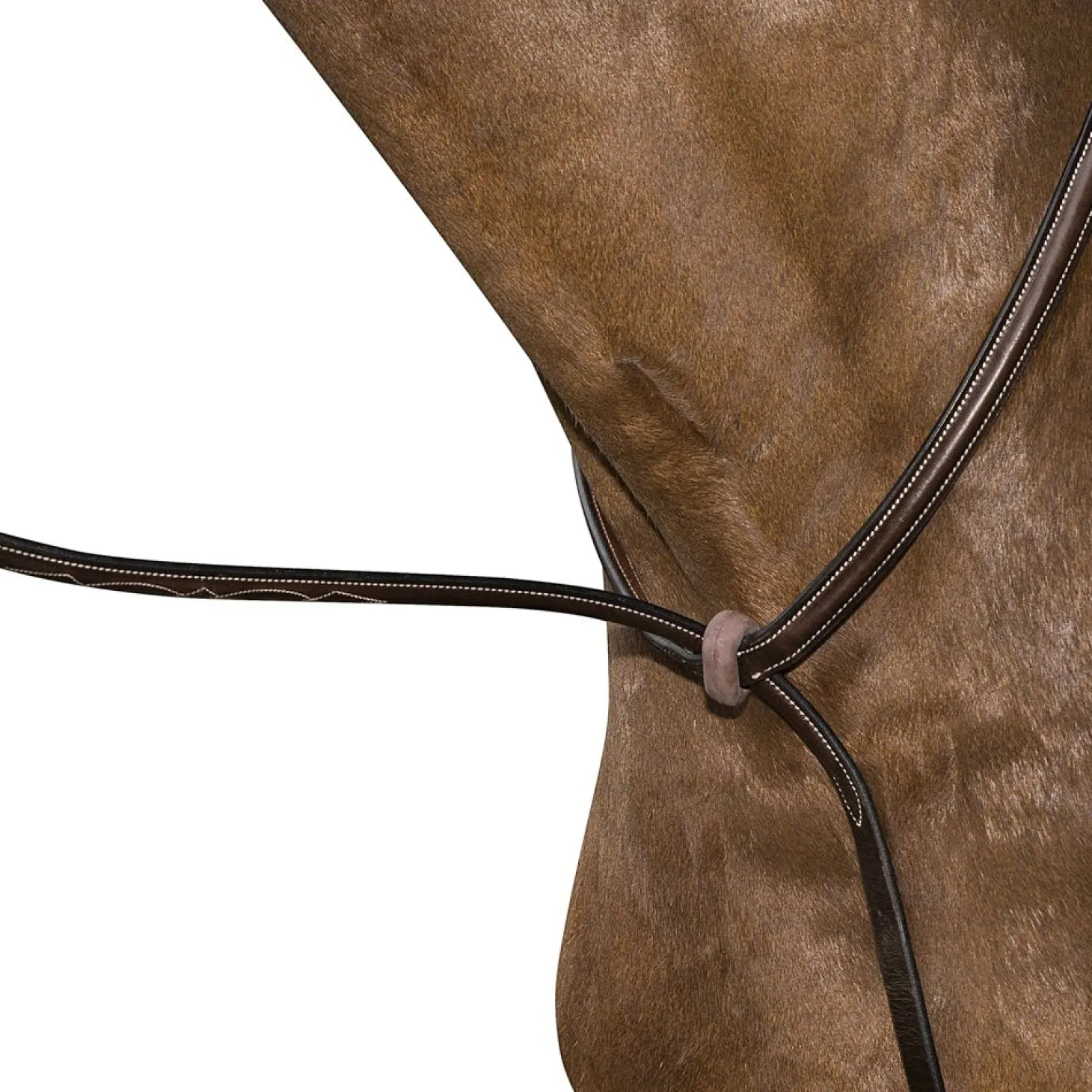 Marcel Toulouse Fancy-Stitched Raised Standing Martingale