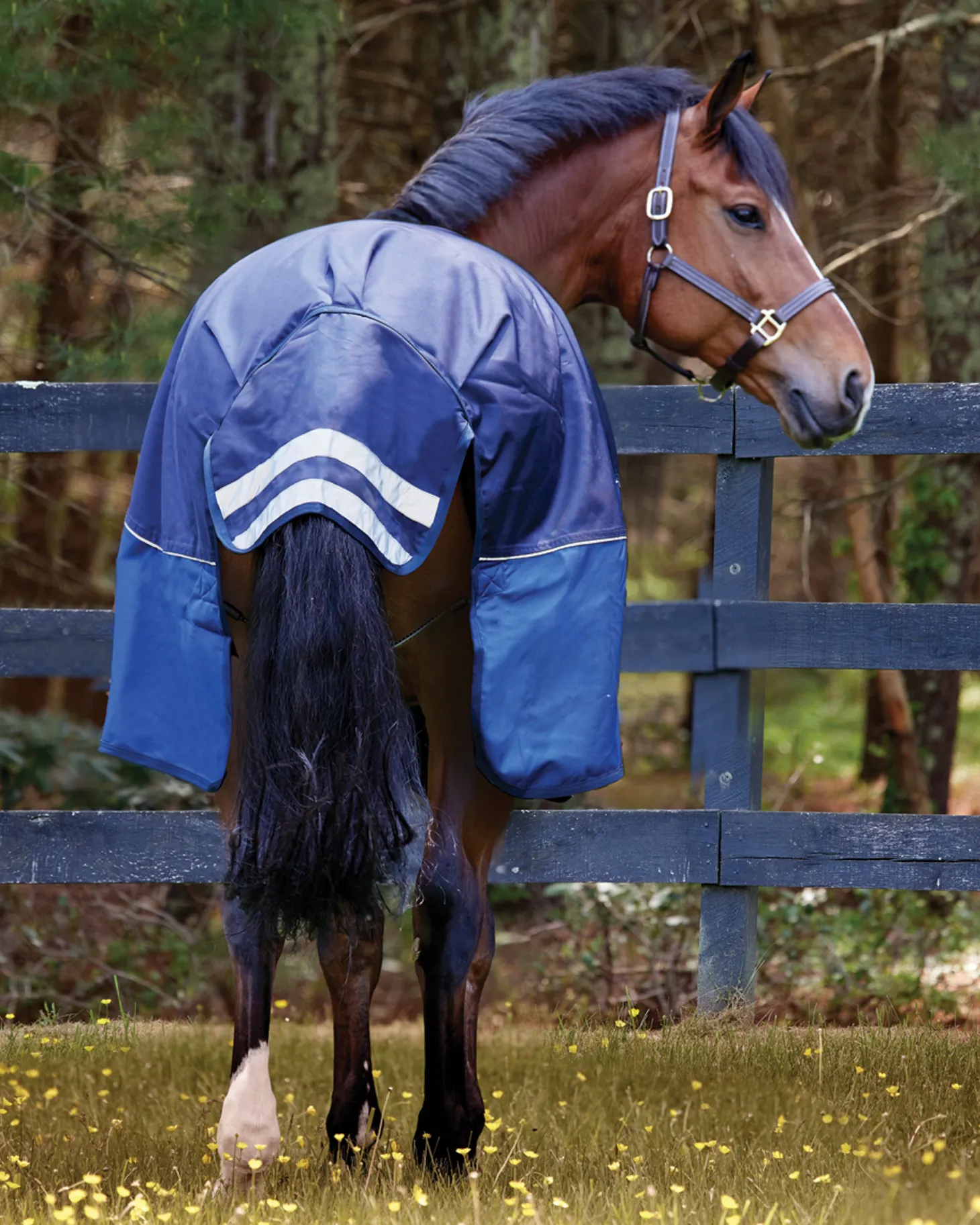 NorthWind™ Light-Weight Turnout Blanket with Detachable Neck–100 grams