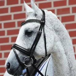 Passier® Fortuna Snaffle Bridle