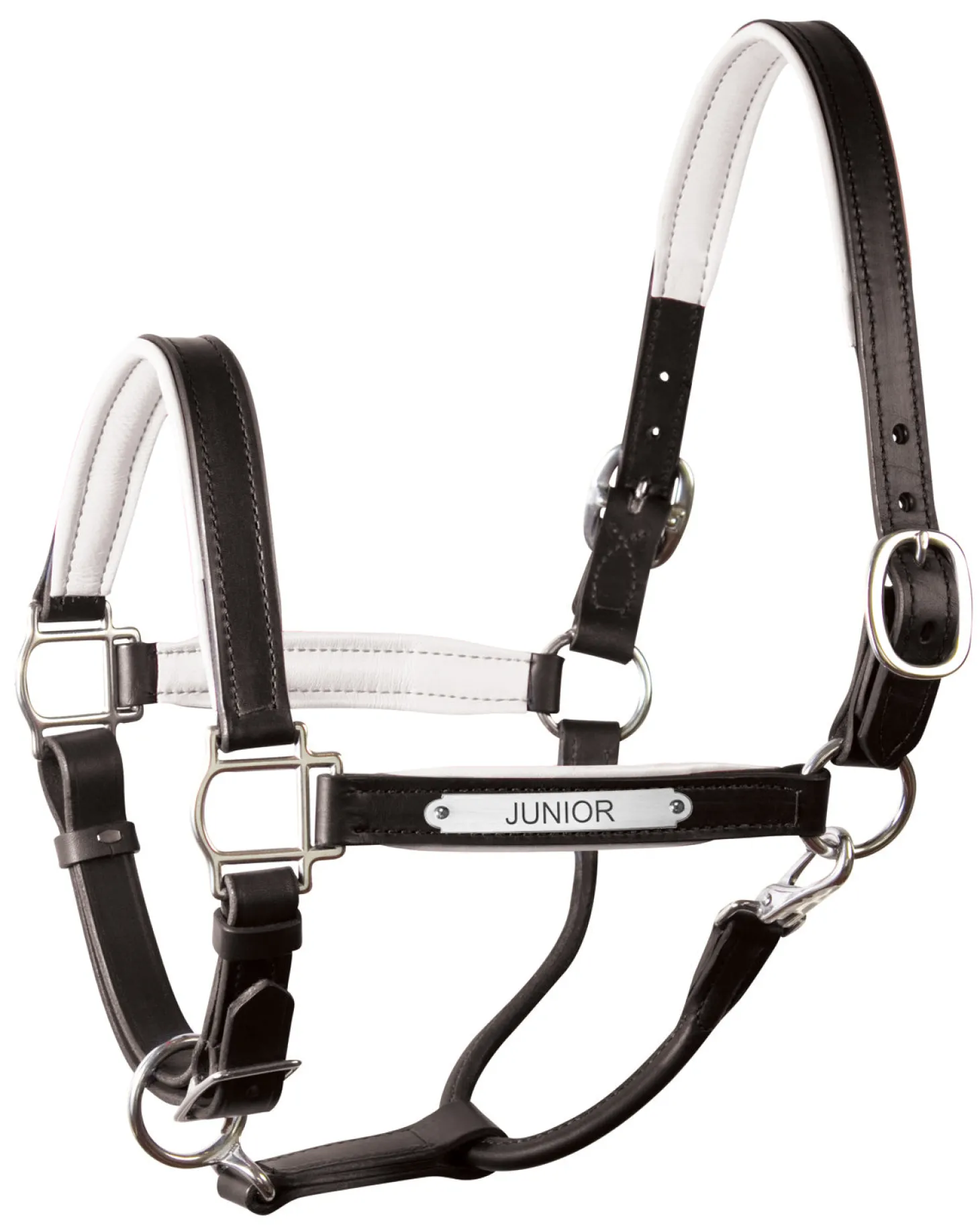 Perri’s® 1" Padded Leather Halter with Nameplate
