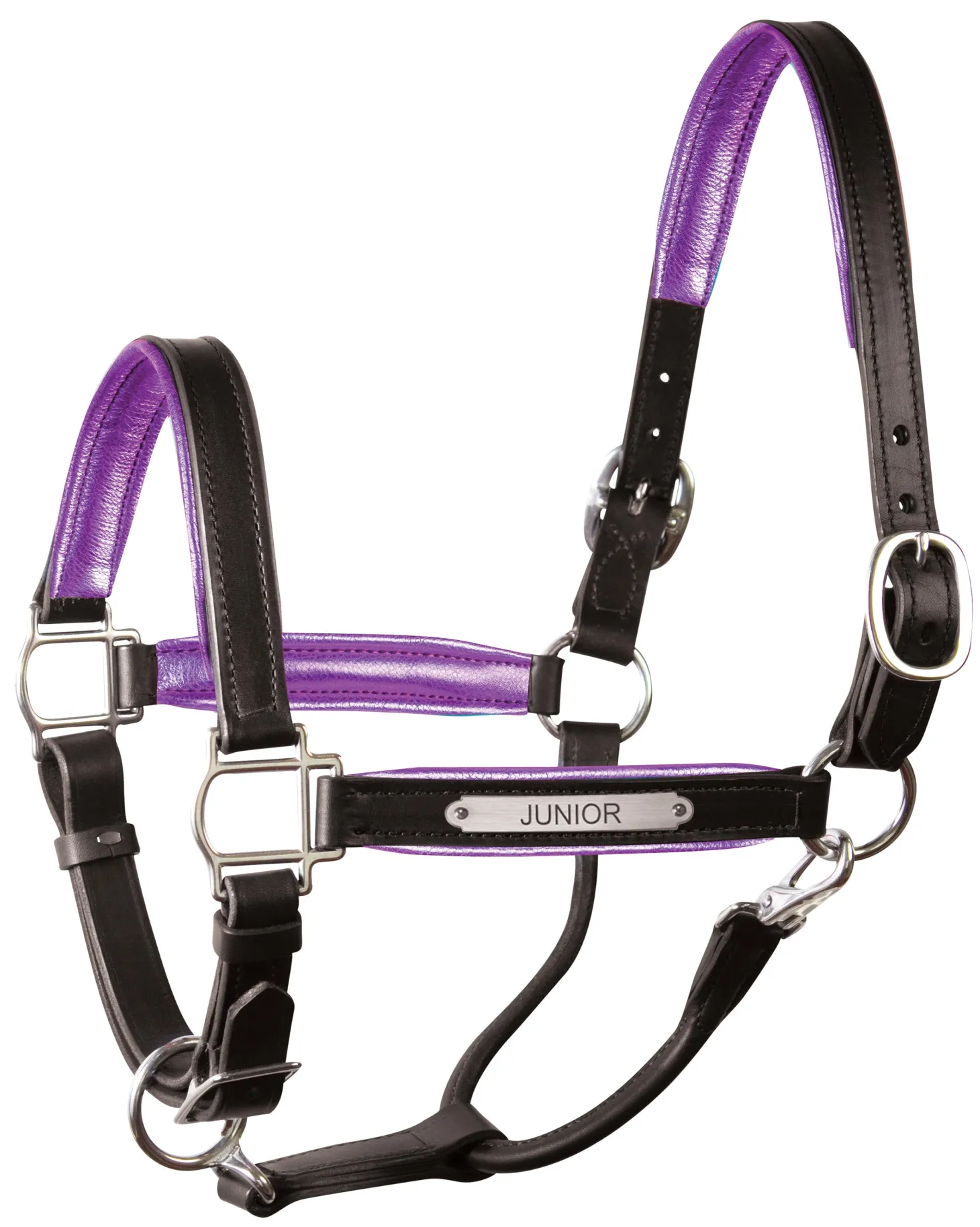 Perri’s® 1" Padded Leather Halter with Nameplate