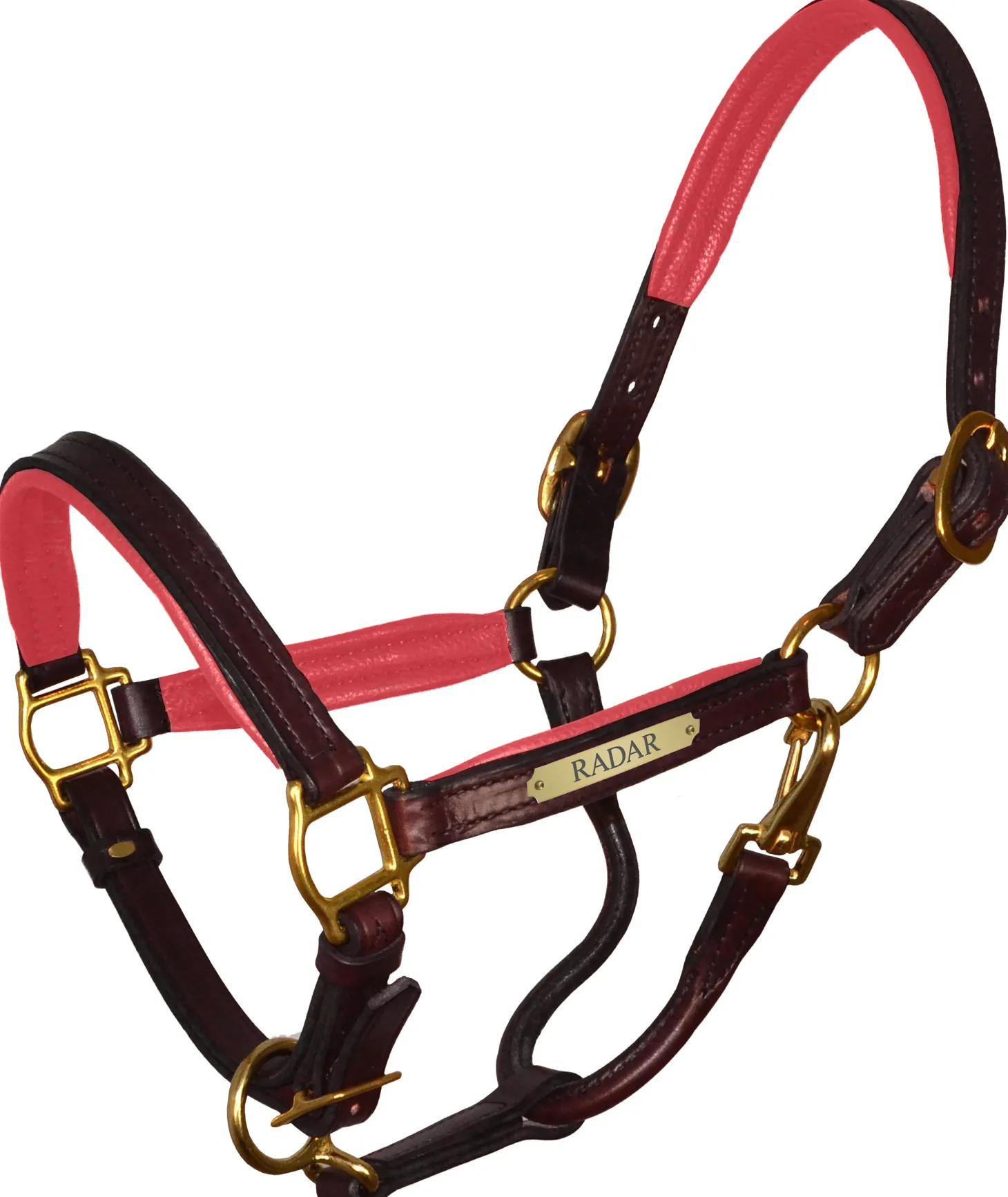 Perri’s® 1" Padded Leather Halter with Nameplate