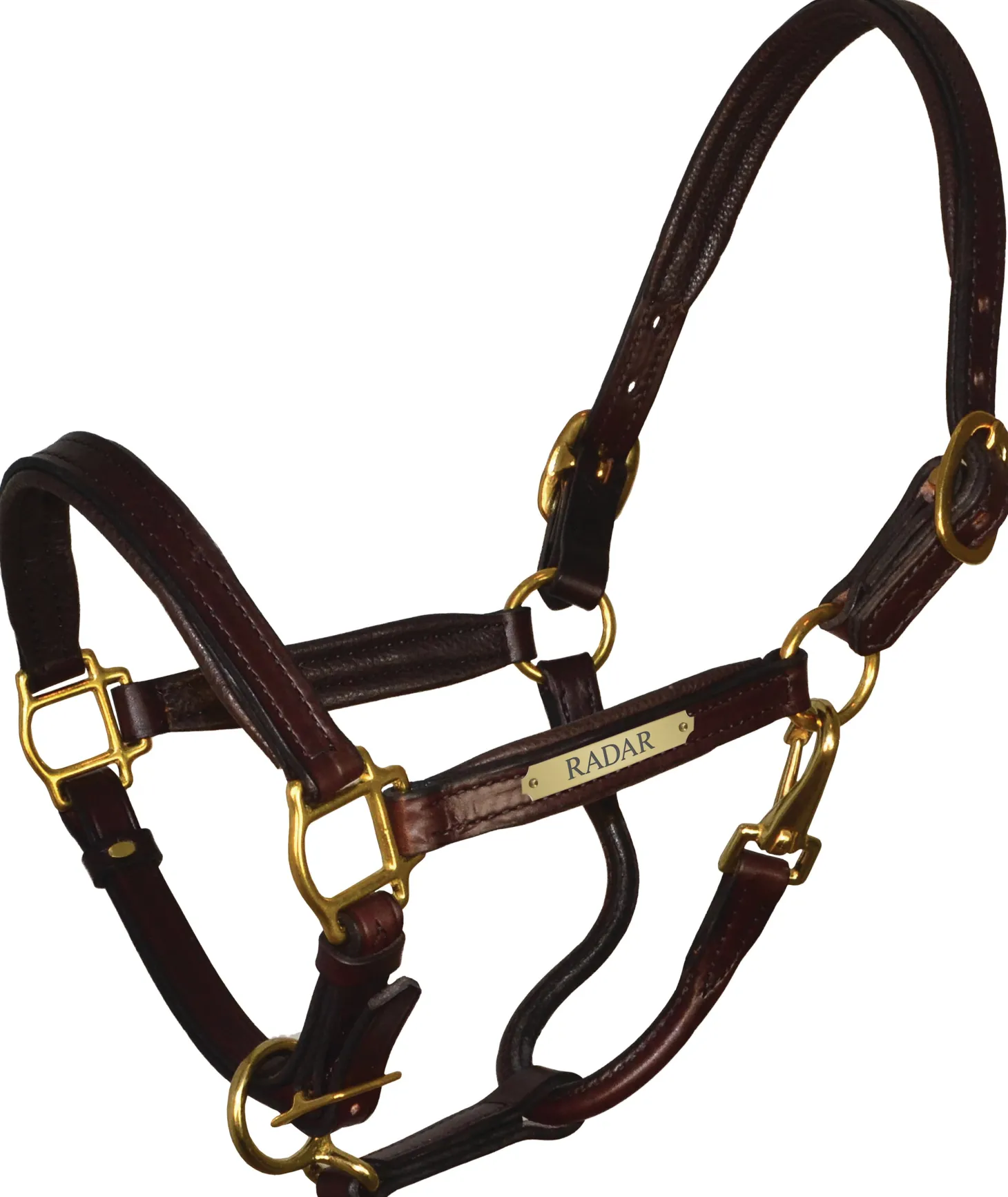 Perri’s® 1" Padded Leather Halter with Nameplate