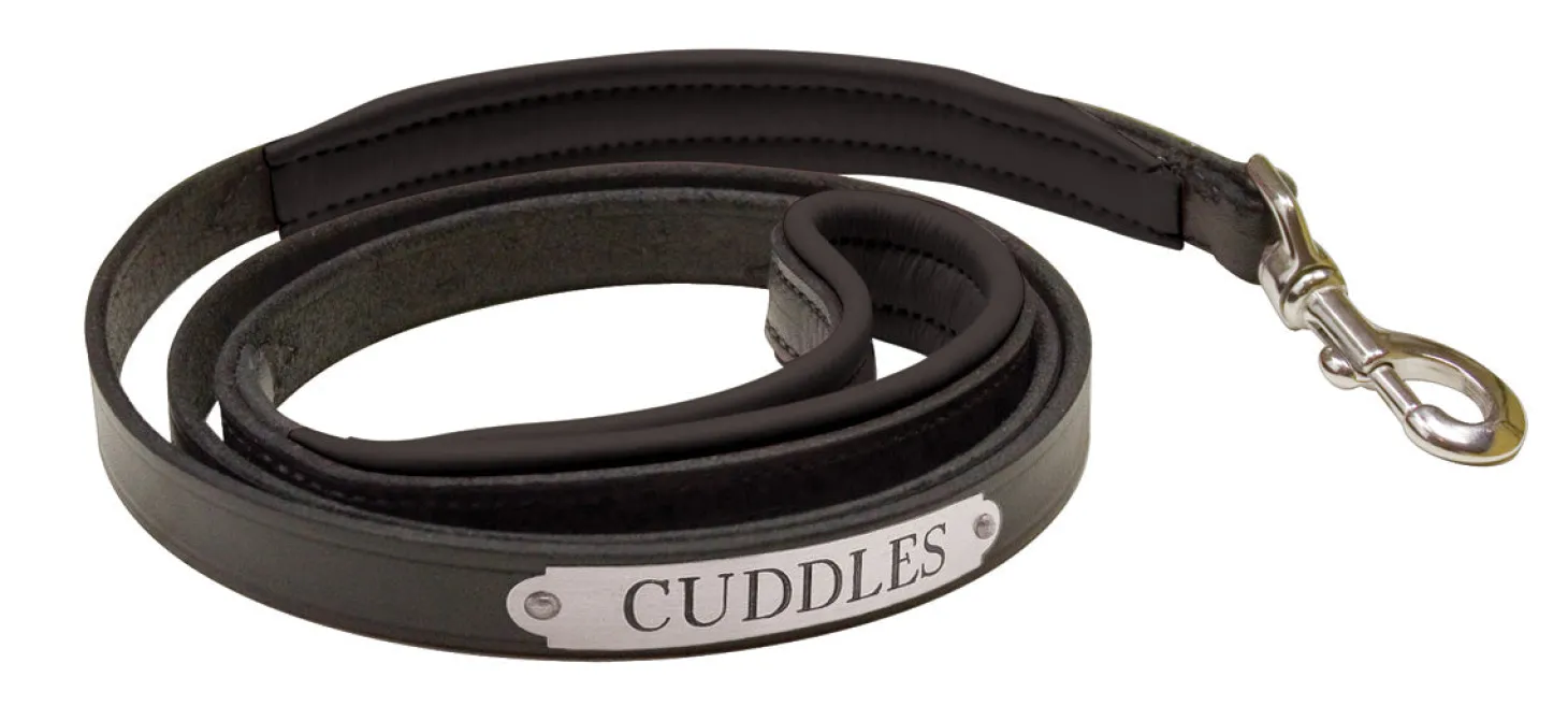 Perri’s® Padded Leather Nameplate Dog Leash