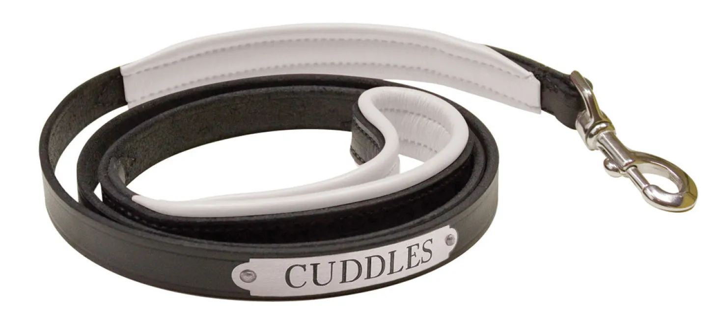 Perri’s® Padded Leather Nameplate Dog Leash