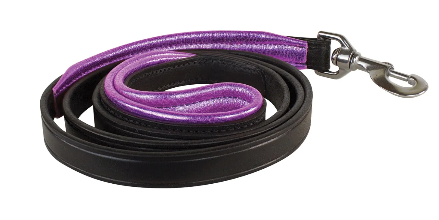 Perri’s® Padded Leather Nameplate Dog Leash