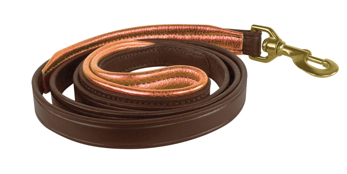 Perri’s® Padded Leather Nameplate Dog Leash