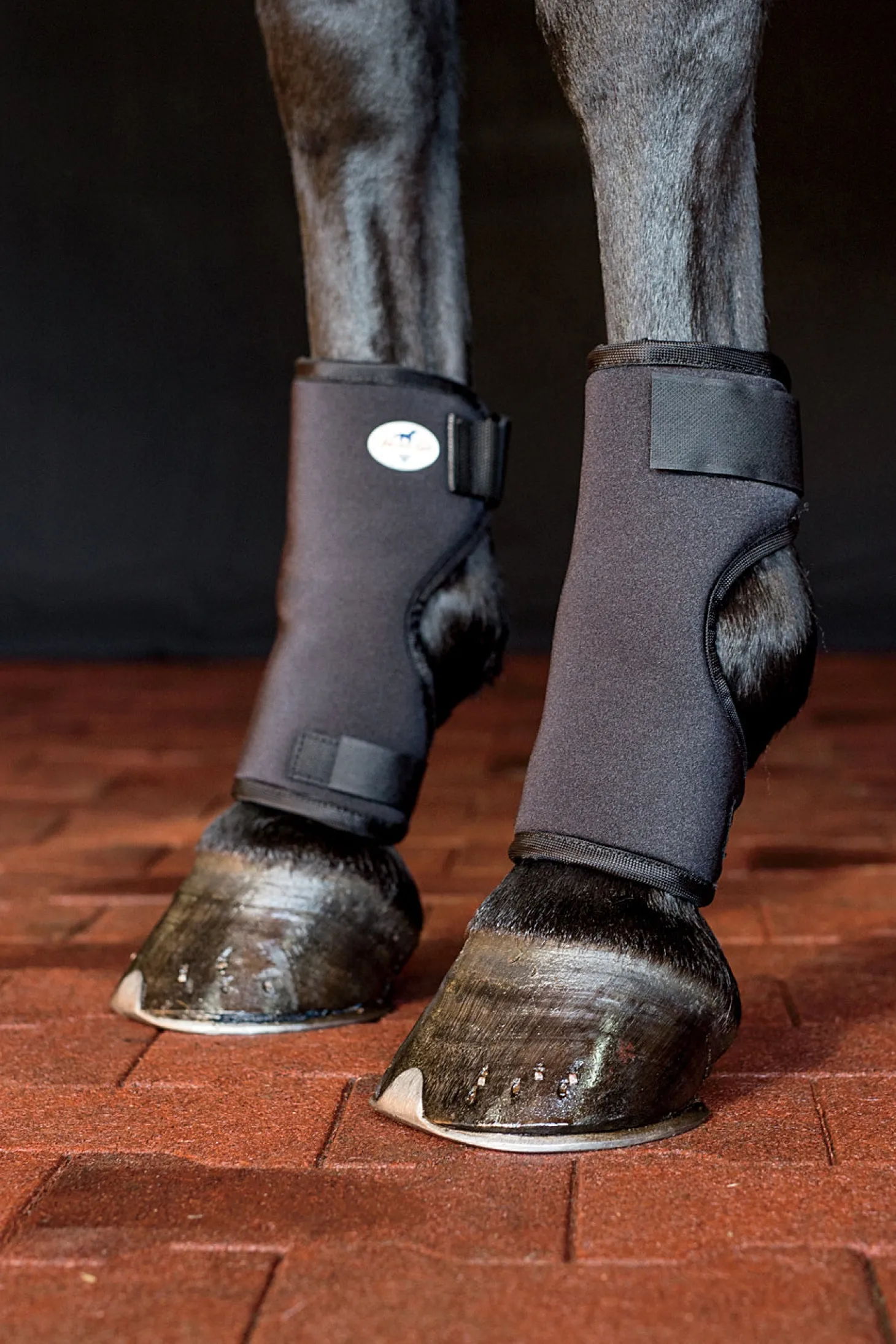 Professional’s Choice® VenTech™ Bed Sore Boot