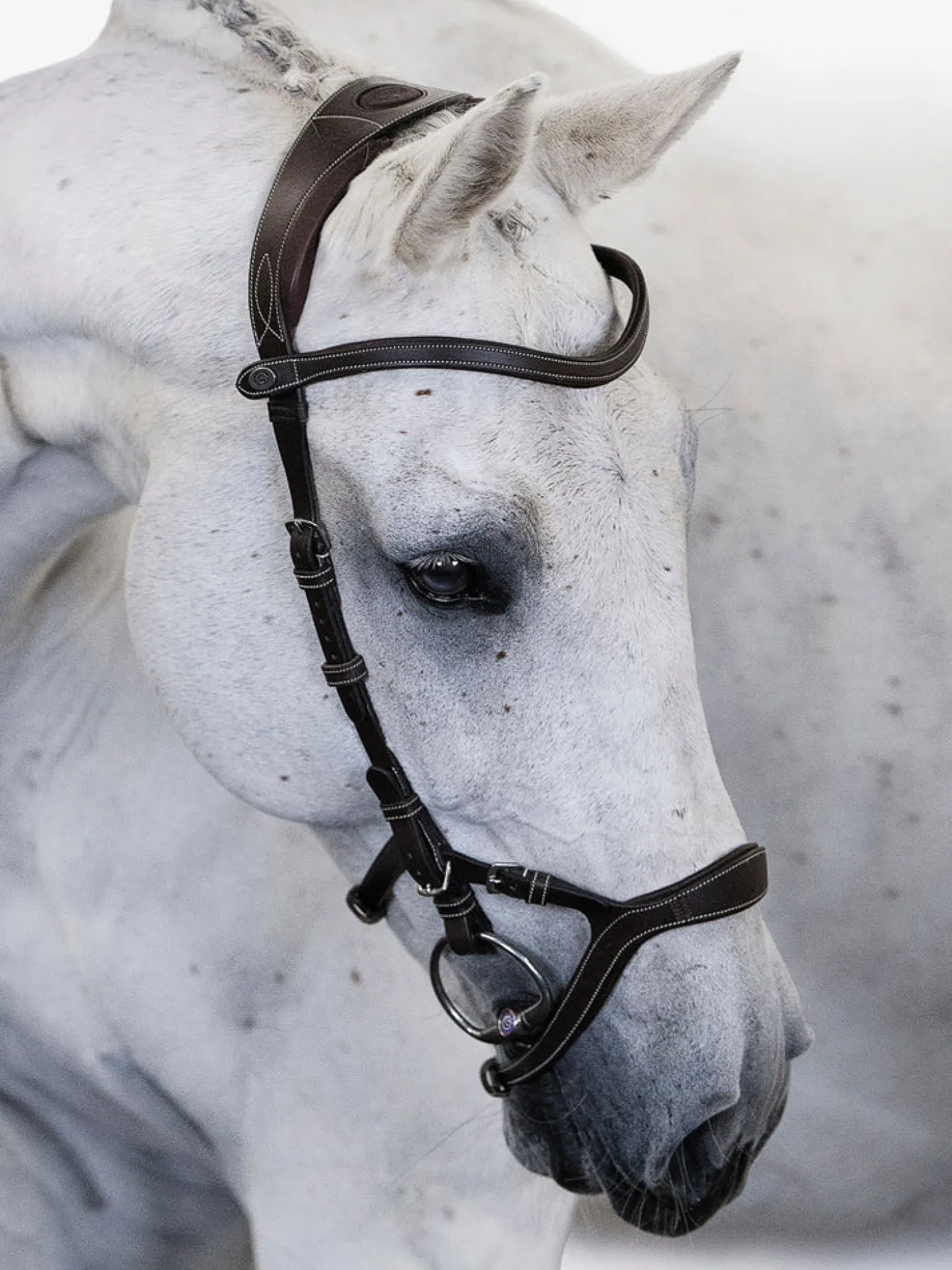 PS of Sweden Nirak™ Bridle
