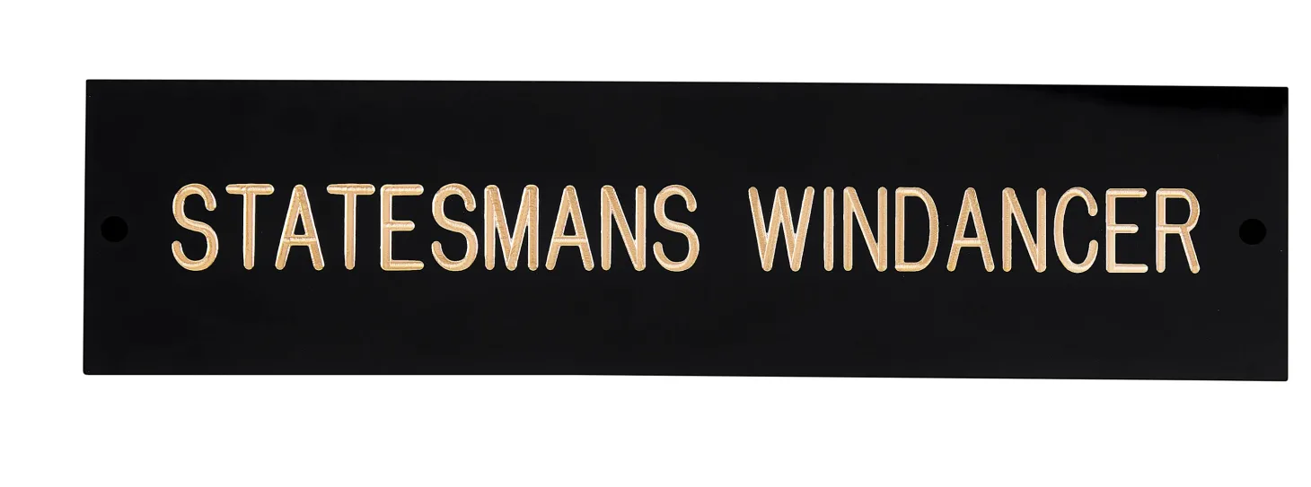Rectangular Black & Brass Stall Plate - 3 lines