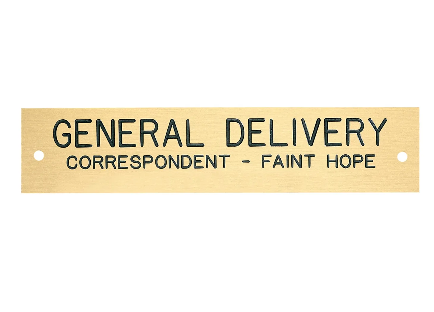 Rectangular Stall Plate - 1 or 2 lines