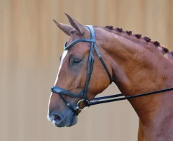 Red Barn Arena Ergonomic Snaffle