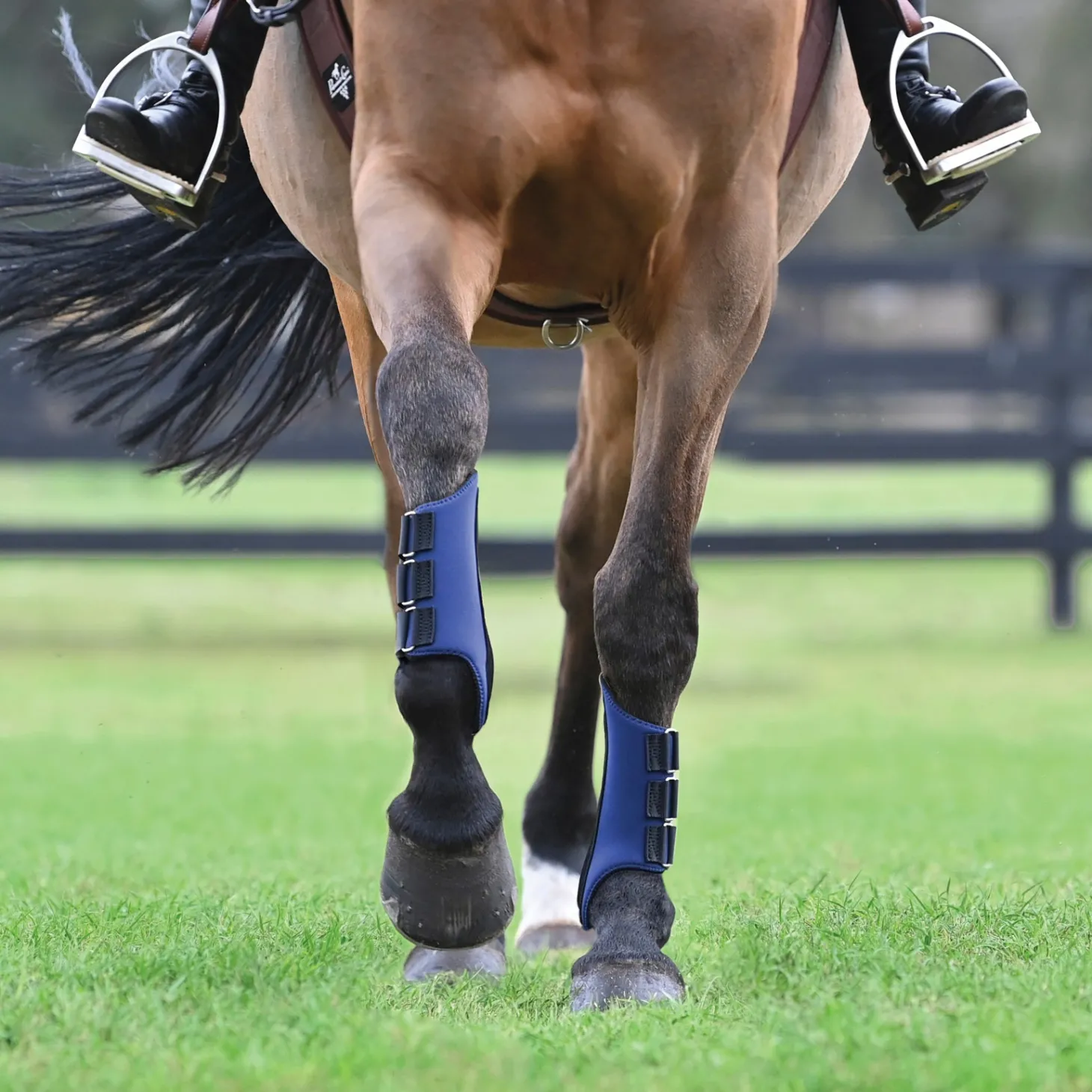 Rider’s International™ All-Purpose Galloping Boots