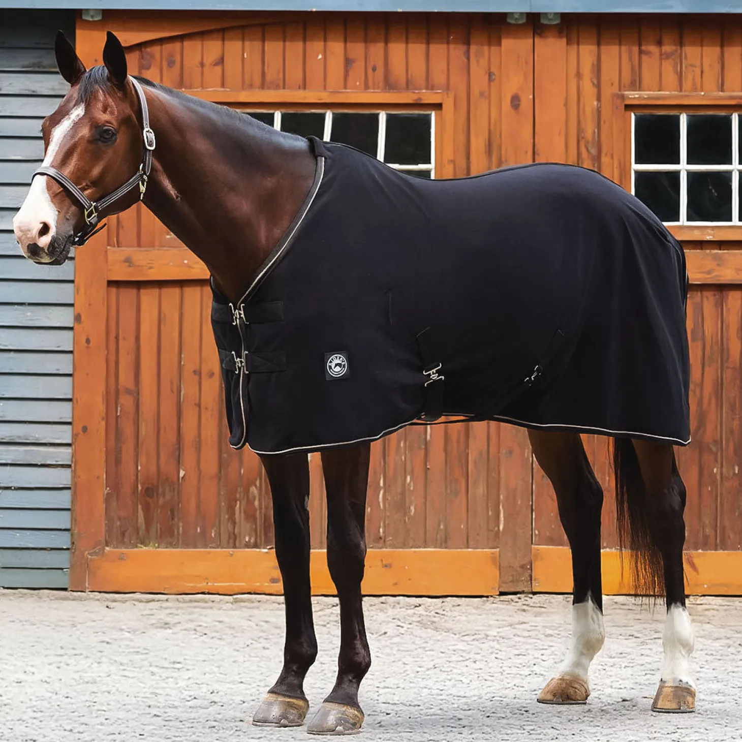 Rider’s International™ Classic Cooler