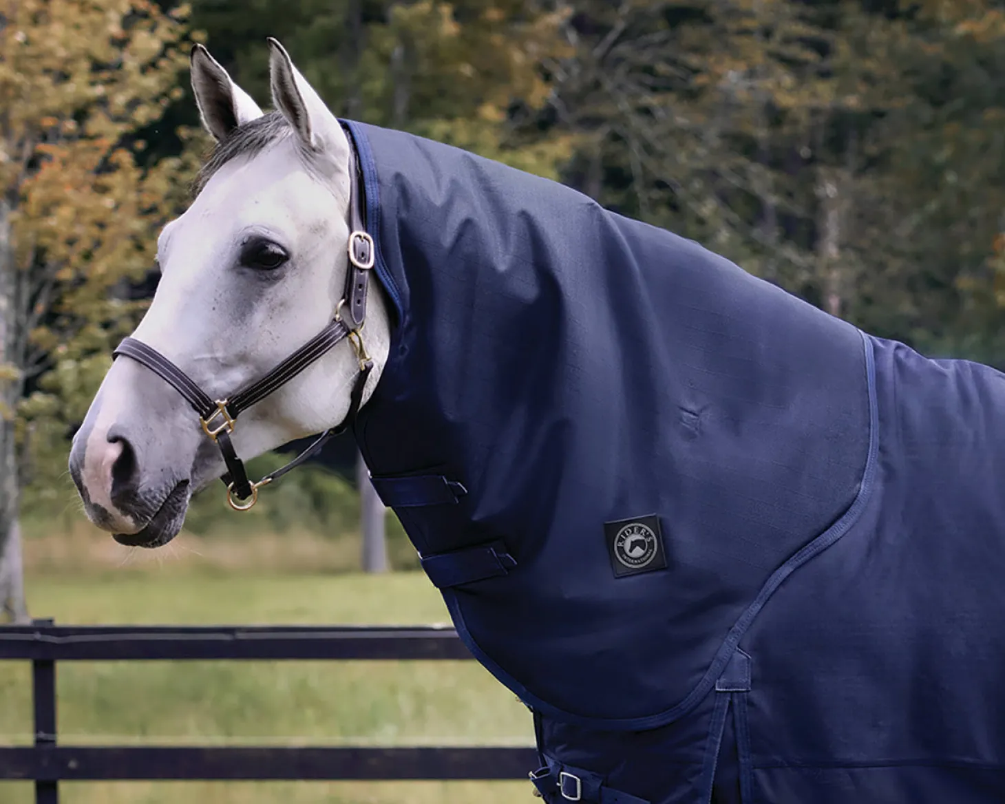 Rider’s International™ Supreme Hood–200G
