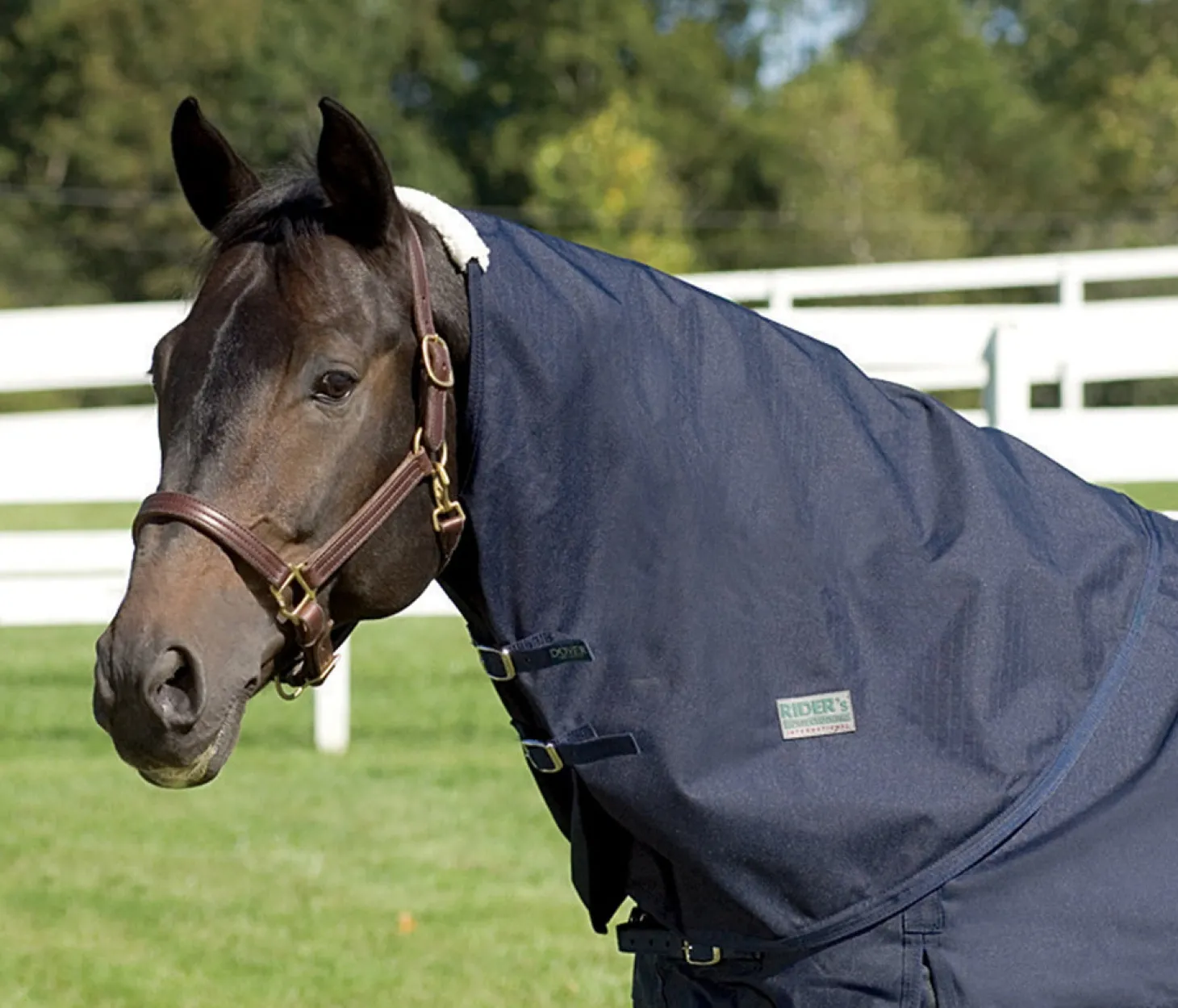 Rider’s International™ Supreme Neck Cover