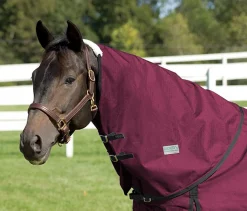 Rider’s International™ Supreme Neck Cover