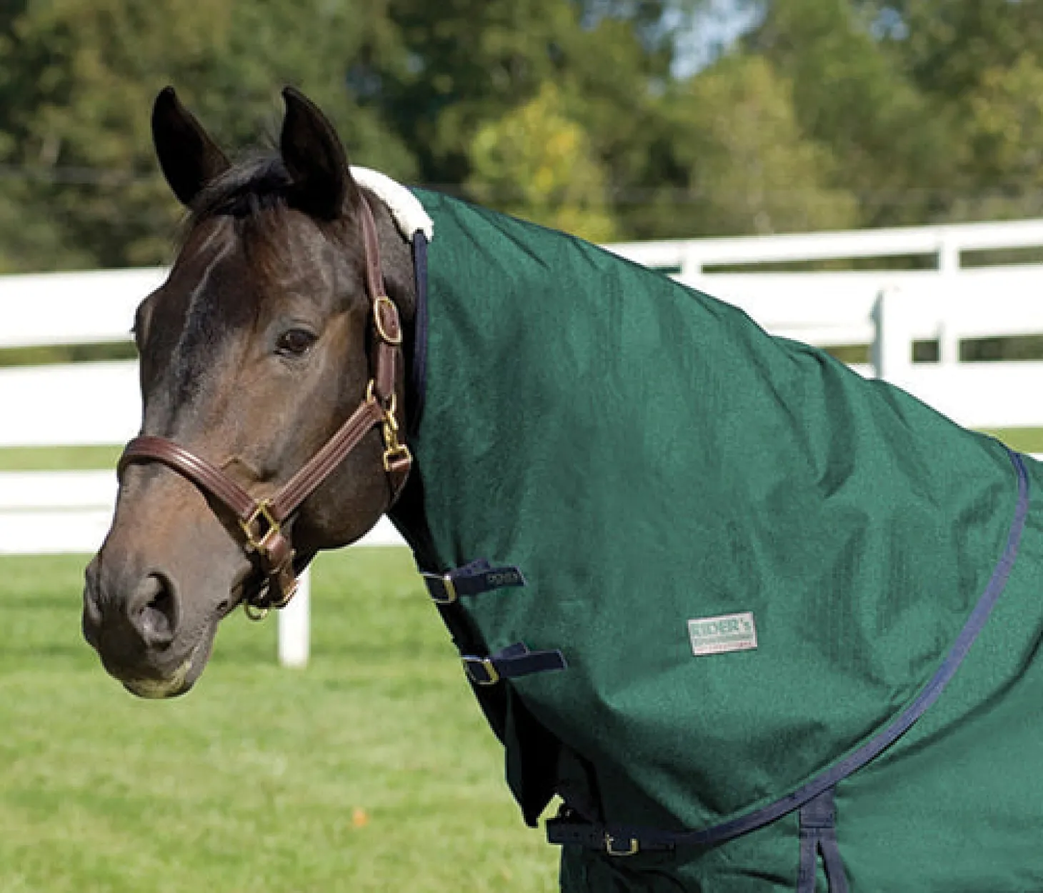 Rider’s International™ Supreme Neck Cover