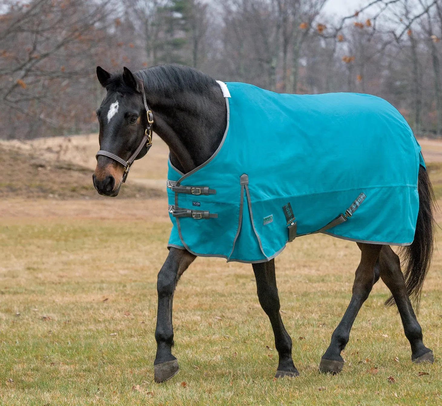 Rider’s International™ Supreme Turnout Sheet