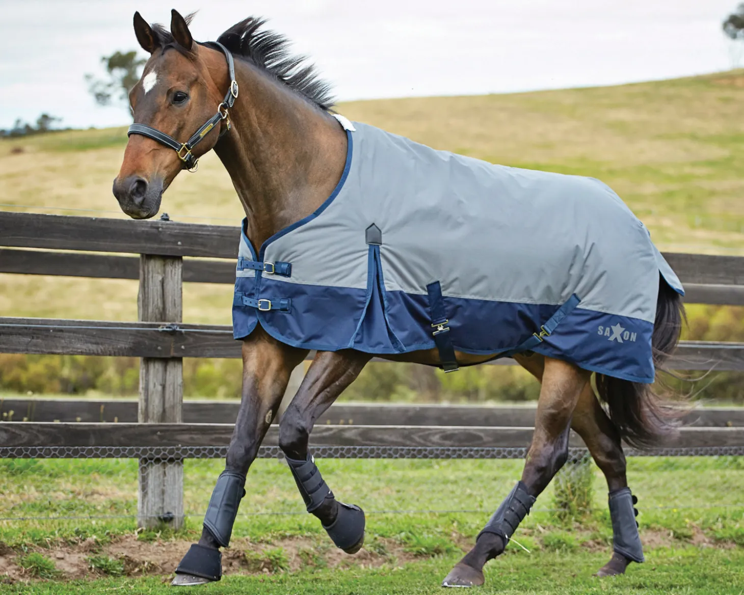 Saxon 600D Medium-Weight Blanket with Gussets & Standard Neck II