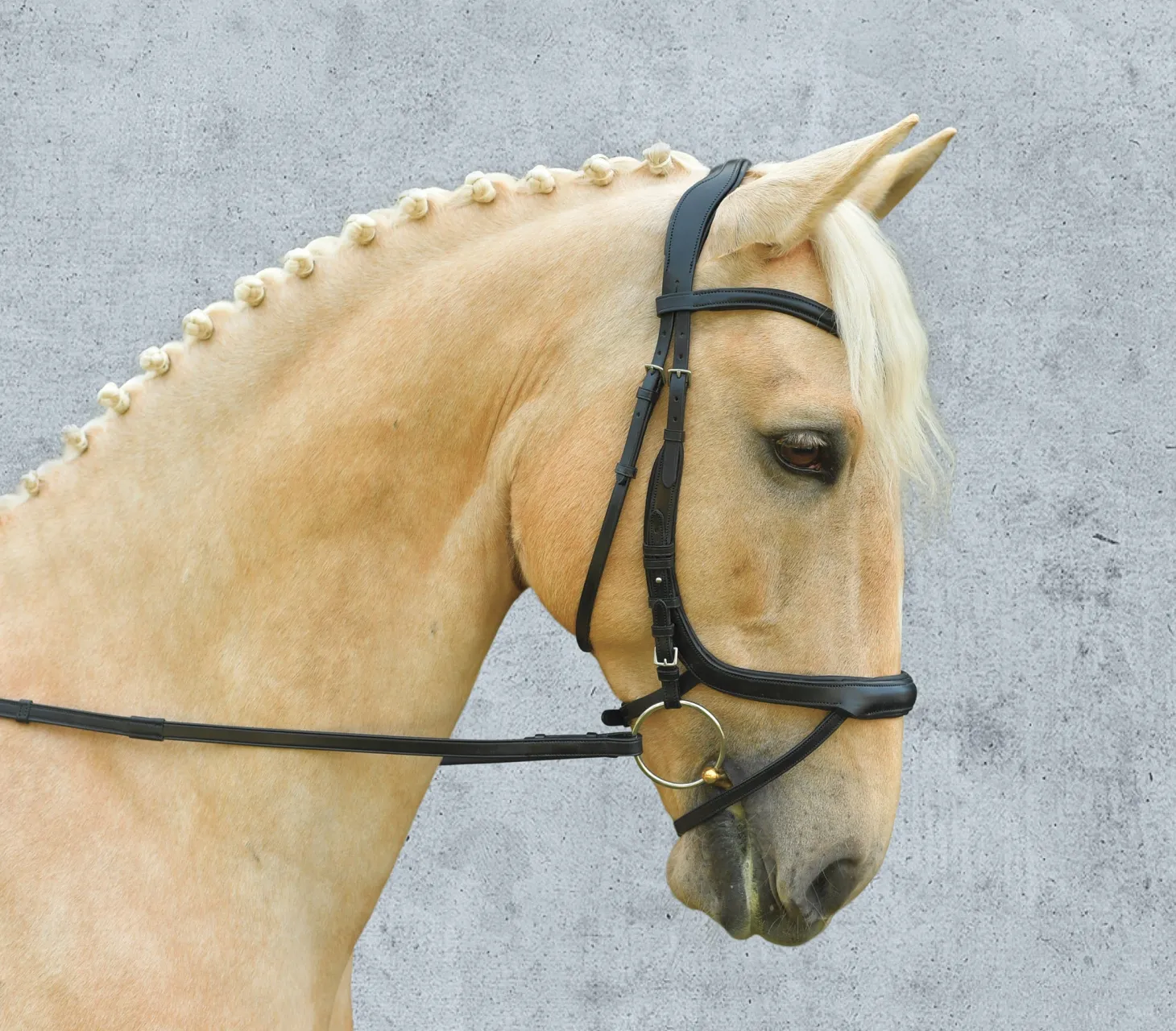 Schockemöhle Equitus Alpha Bridle