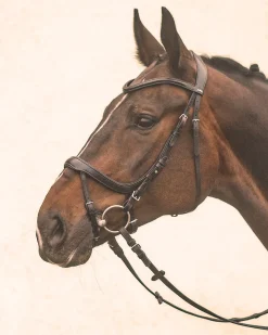 Schockemöhle Equitus Alpha Bridle