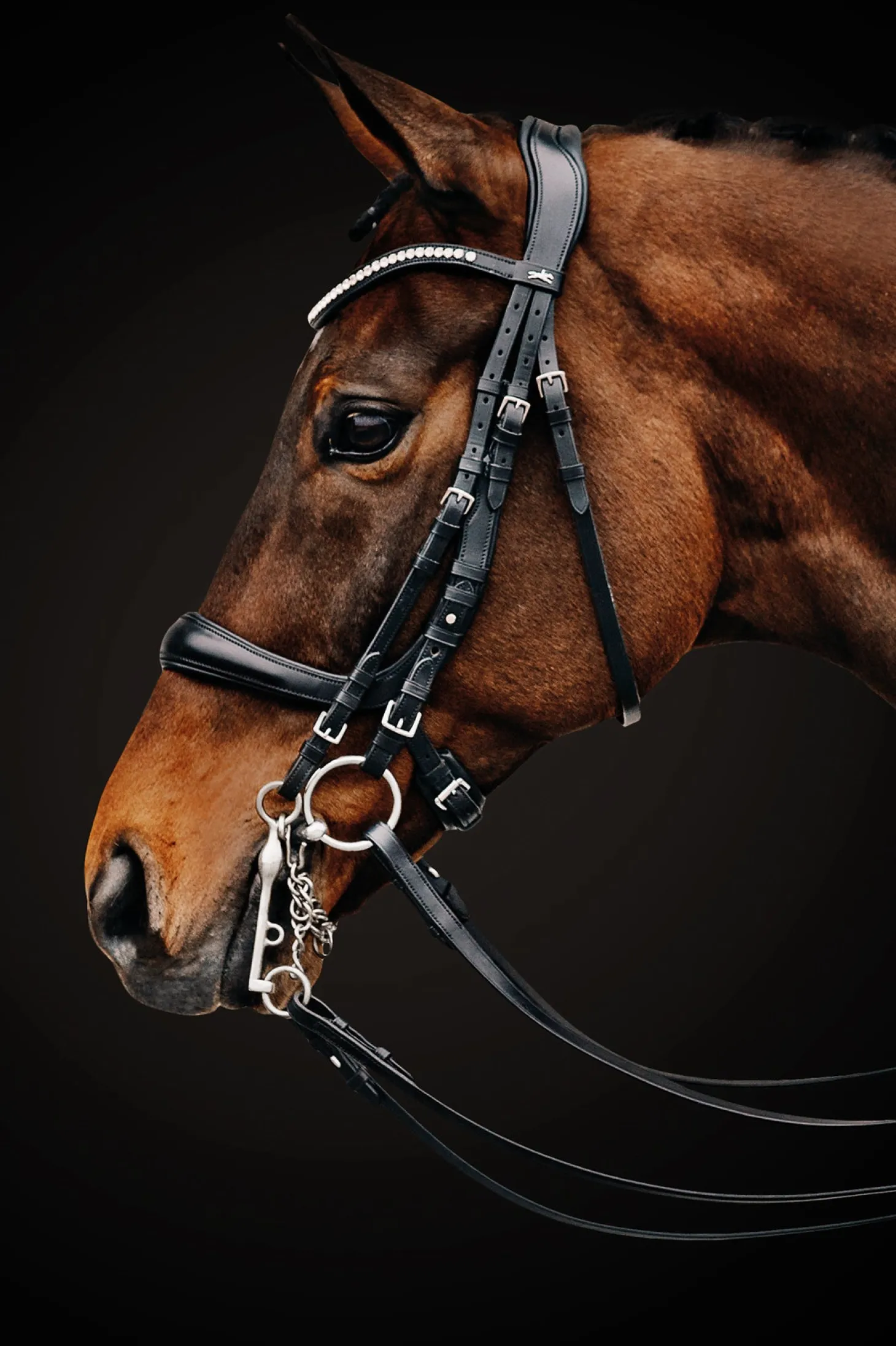 Schockemöhle Equitus Gamma Double Bridle