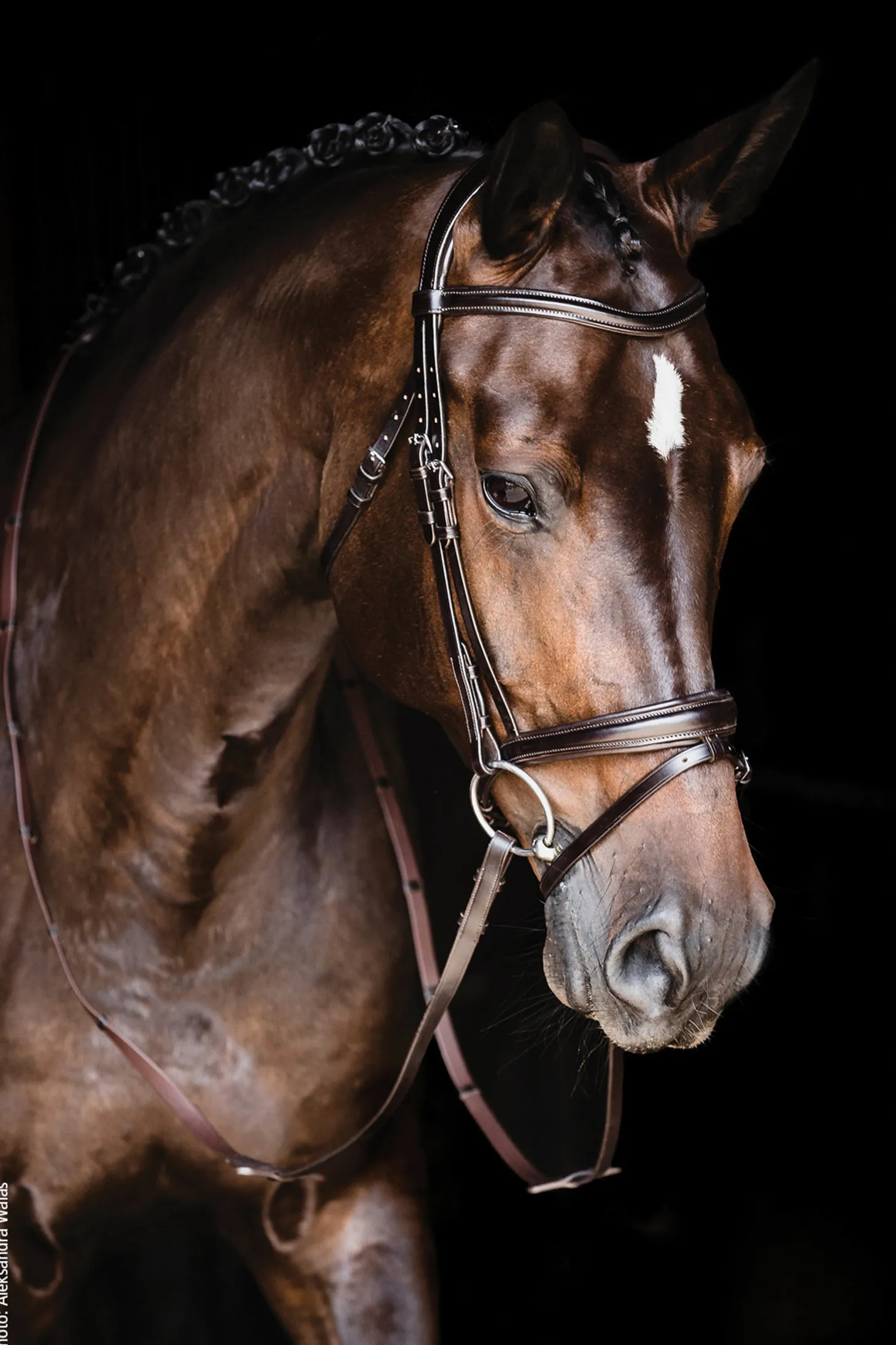 Schockemöhle Monza Bridle